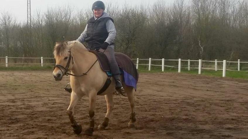 Fjordhest Thilde billede 45