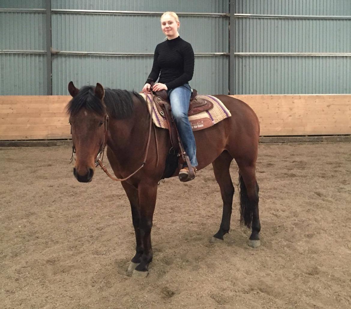 Quarter One Hot Destination - Da vi prøvede ham i Køge. billede 8