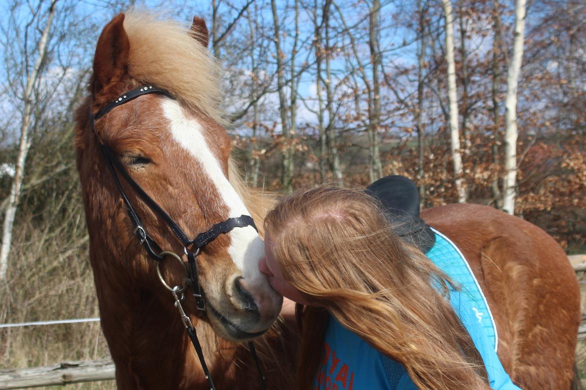 Islænder Reimar fra Skovvang - ’’The best and most beautiful things in the world can’t be seen or touched. It must be felt with the heart’’ <3 billede 26