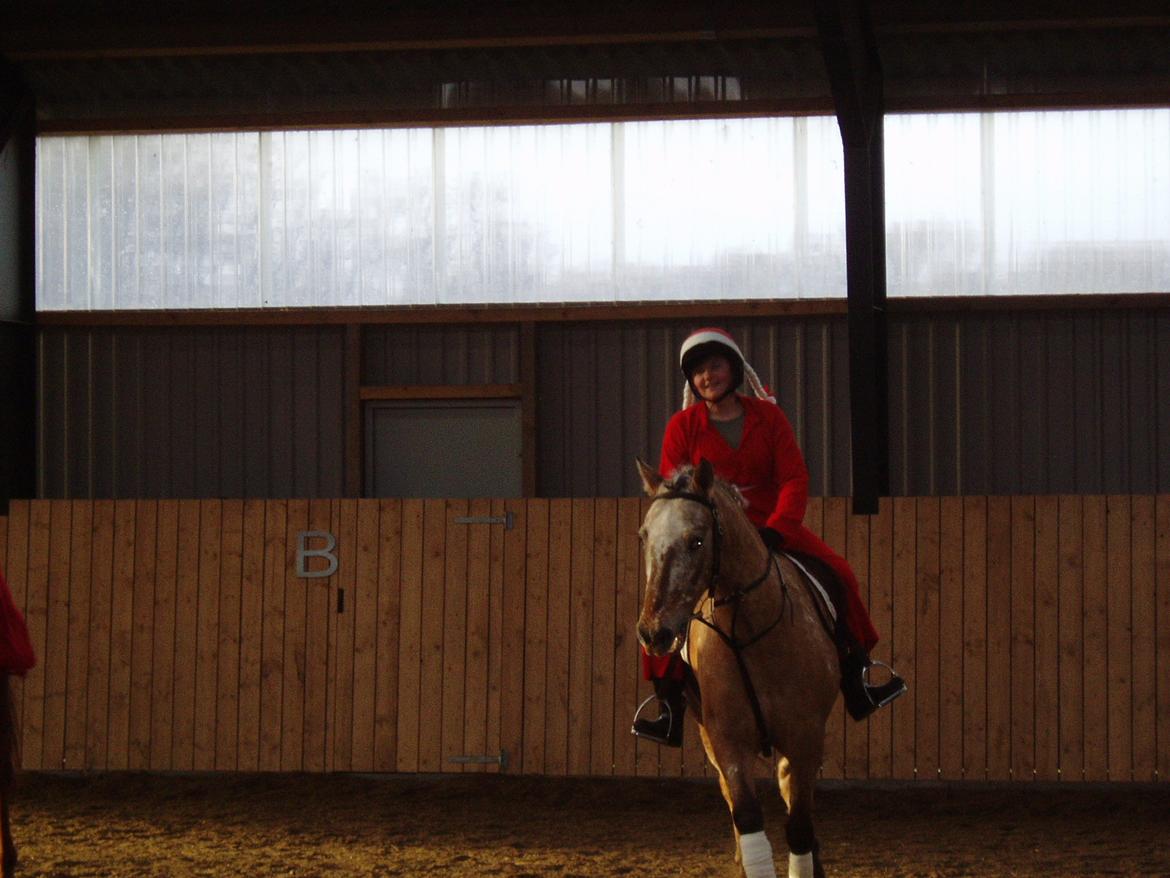 Anden særlig race Kasmir  billede 2