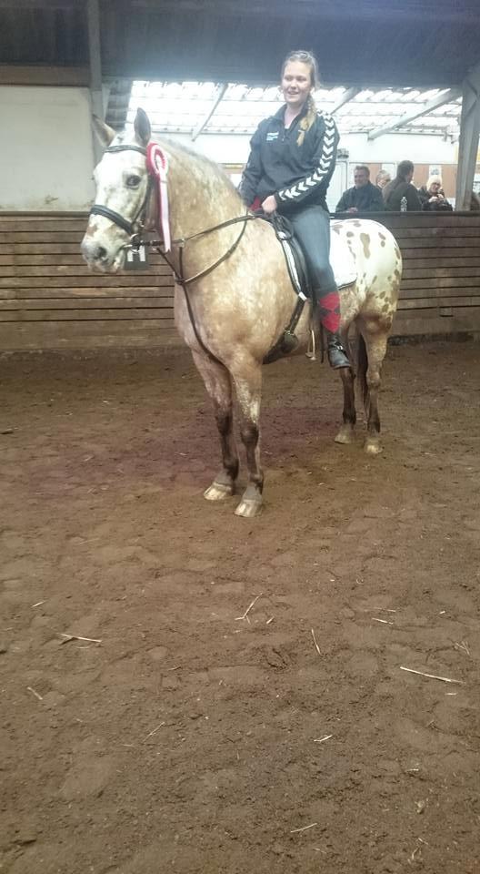 Anden særlig race Kasmir  billede 4