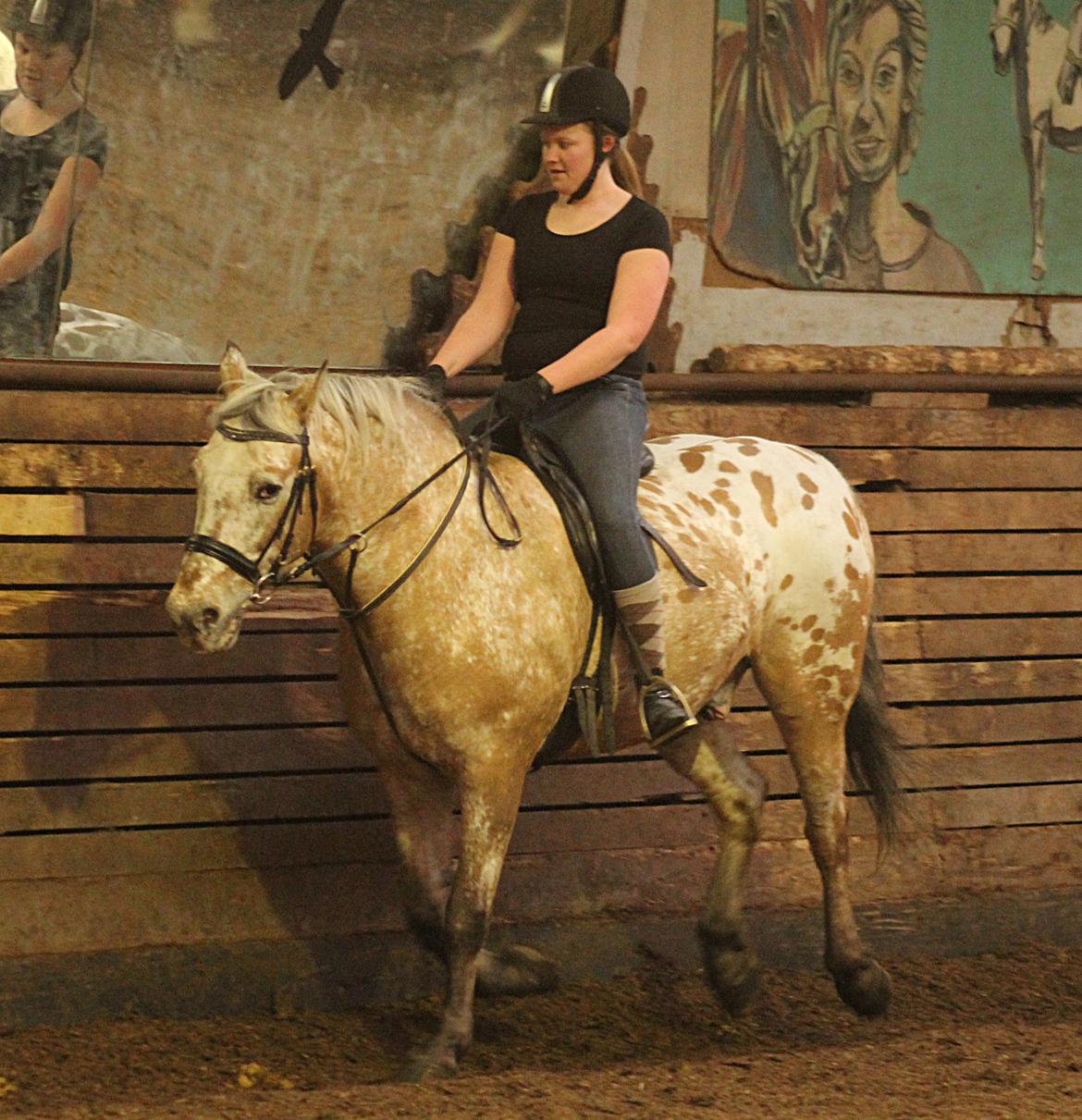 Anden særlig race Kasmir  billede 7