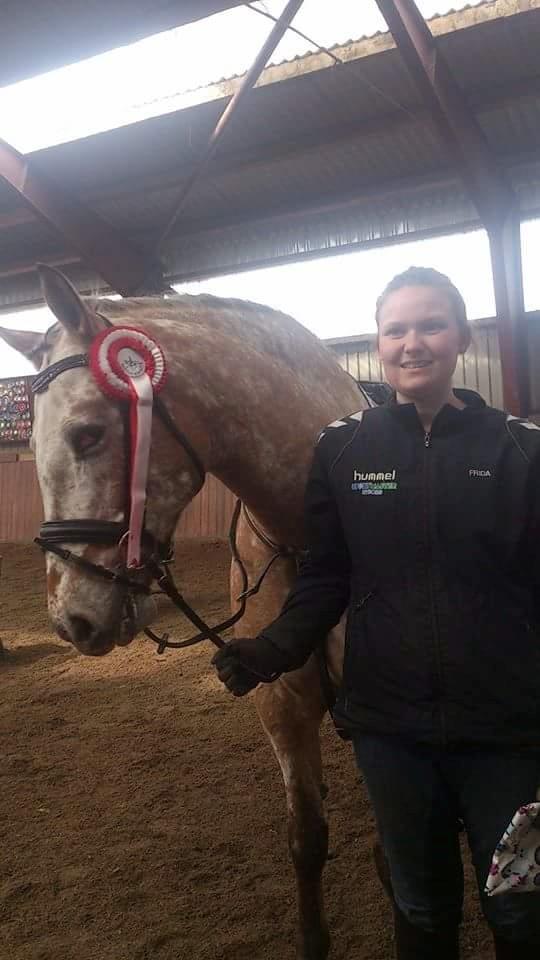 Anden særlig race Kasmir  billede 15