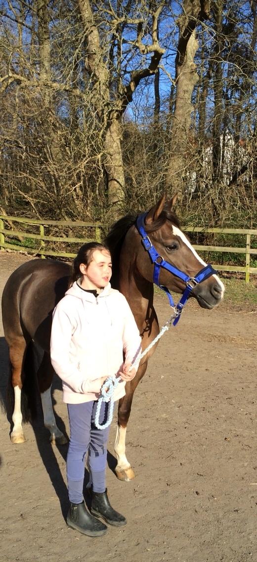 DSP Carla damgård billede 17