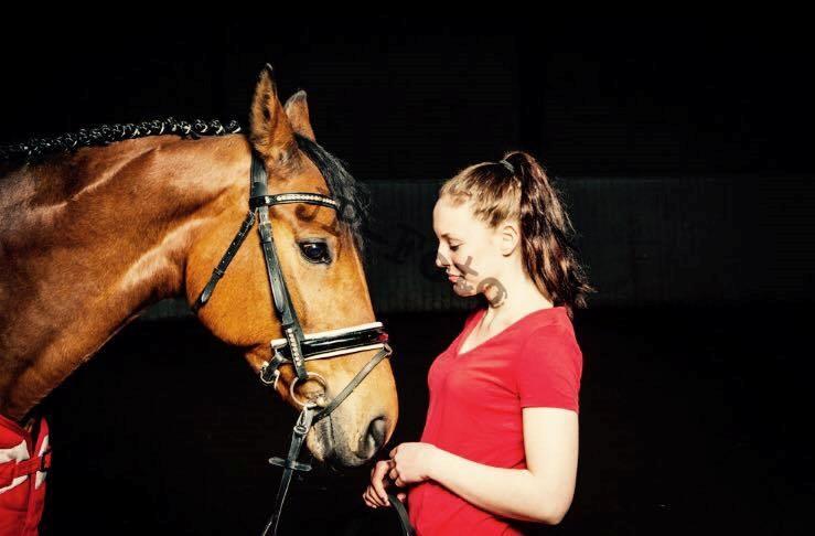 Polsk Varmblod Alvara billede 1