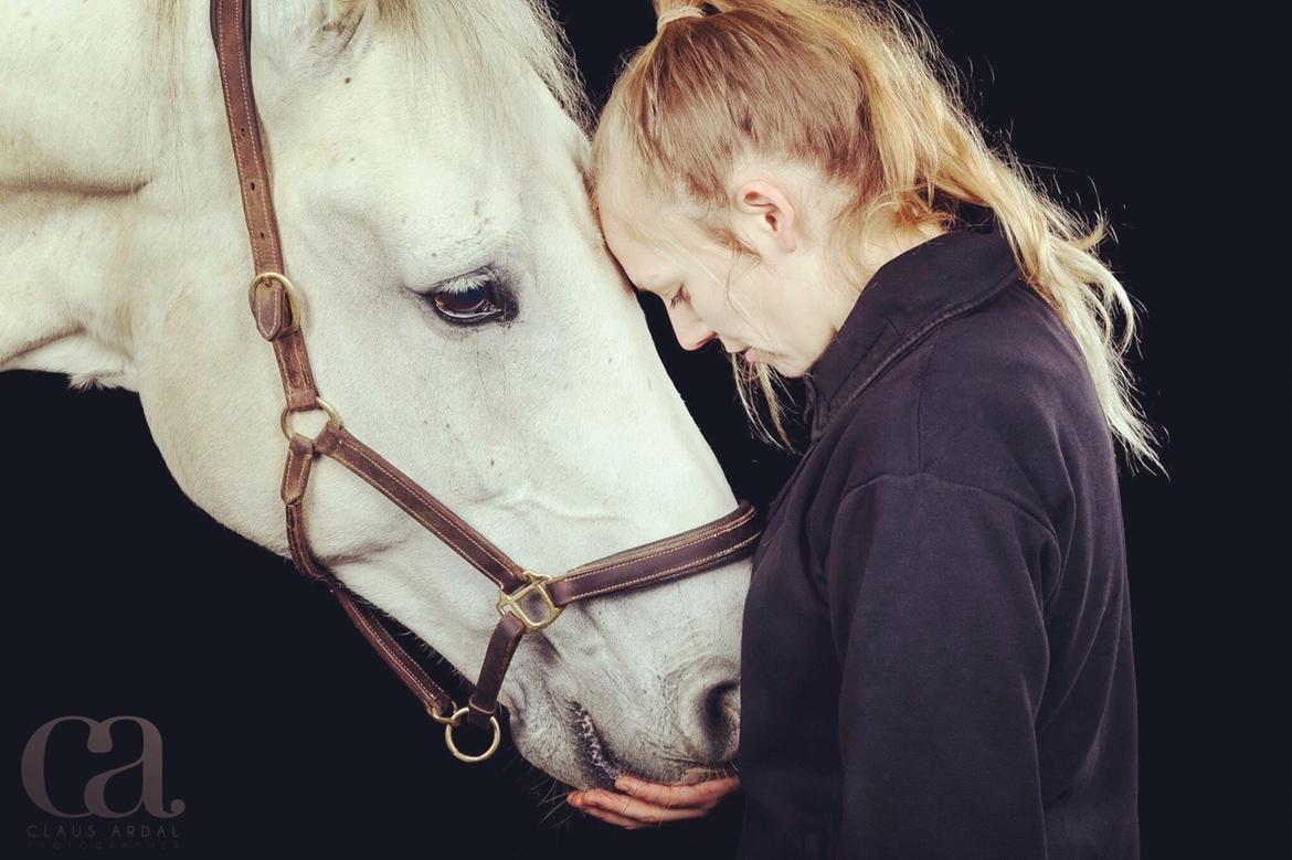 Holstener Quito billede 18