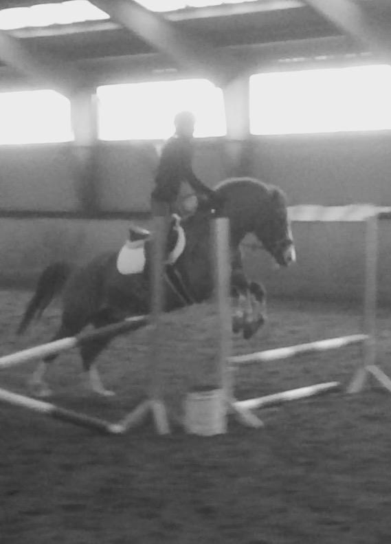 Anden særlig race Milando - Fra første springtræning, han var sååååå dygtig billede 15