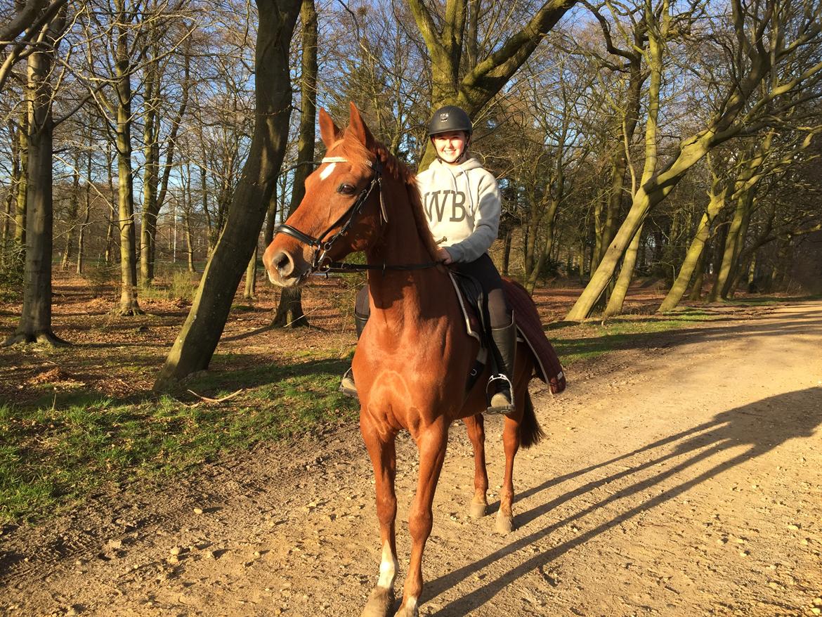 Anden særlig race Manja  billede 4