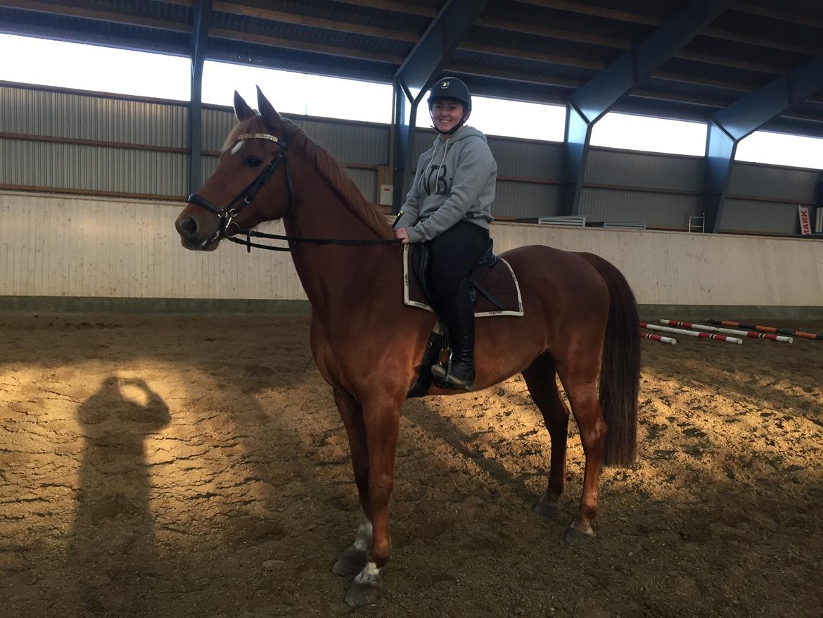 Anden særlig race Manja  billede 22