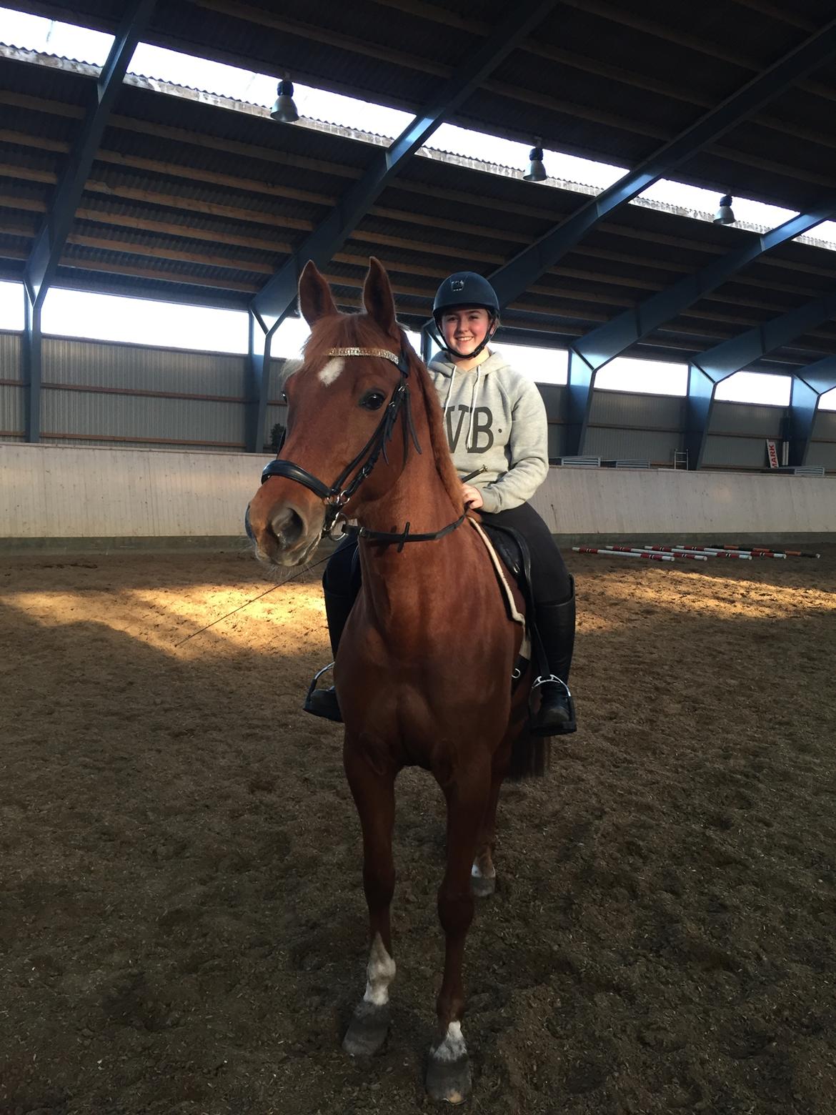 Anden særlig race Manja  billede 15