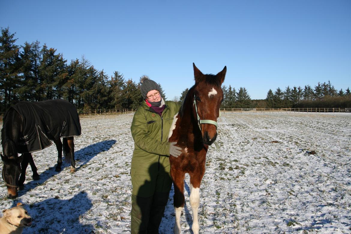 Pinto Kilgast's sofisticated billede 7