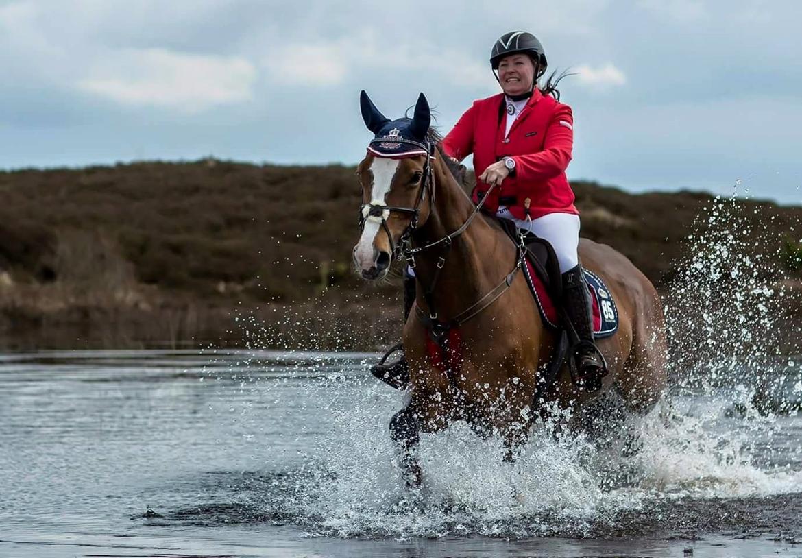 Dansk Varmblod My Choice - foto: Jimmy Friis // heste-foto billede 8