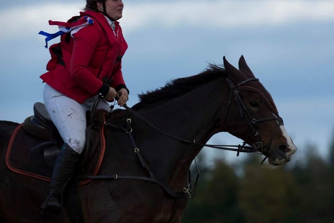 Dansk Varmblod My Choice - foto: Jimmy Friis // heste-foto billede 15