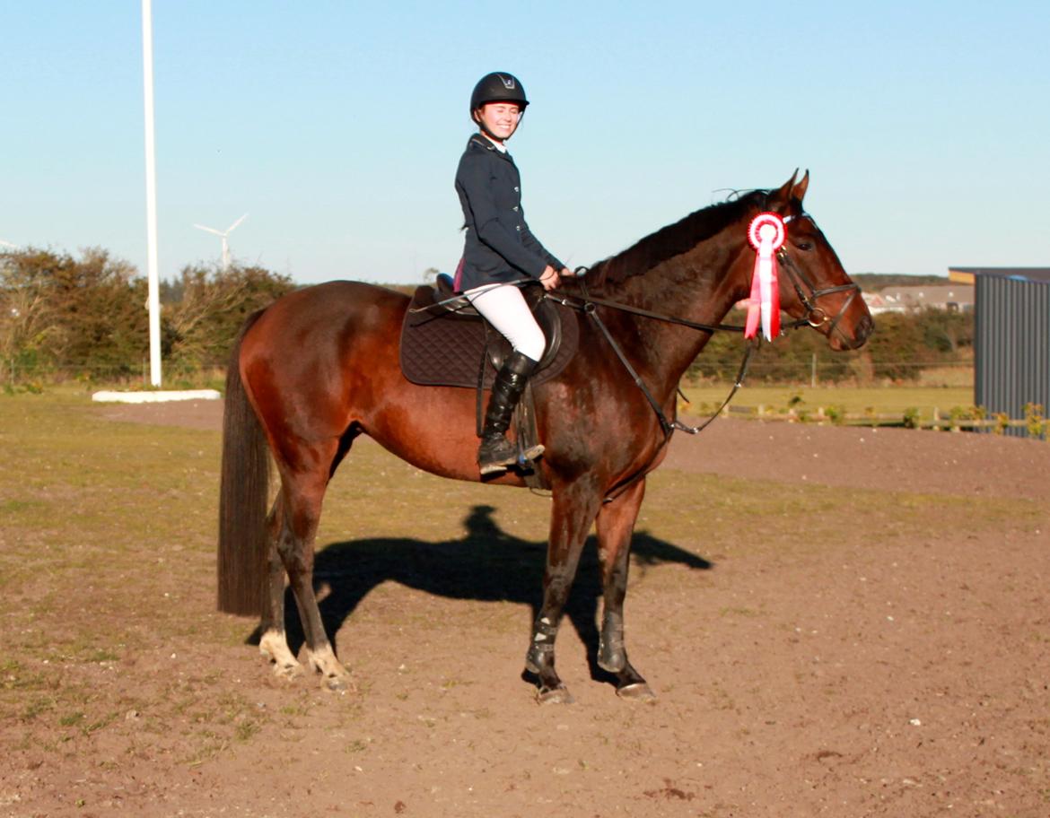 Dansk Varmblod Cille - 1. plads i LB billede 5