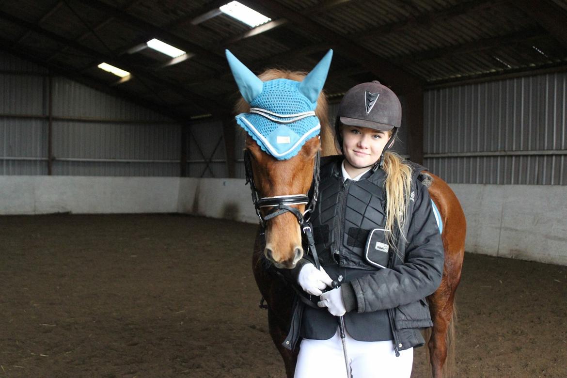 New Forest Nina (Ninja) billede 11