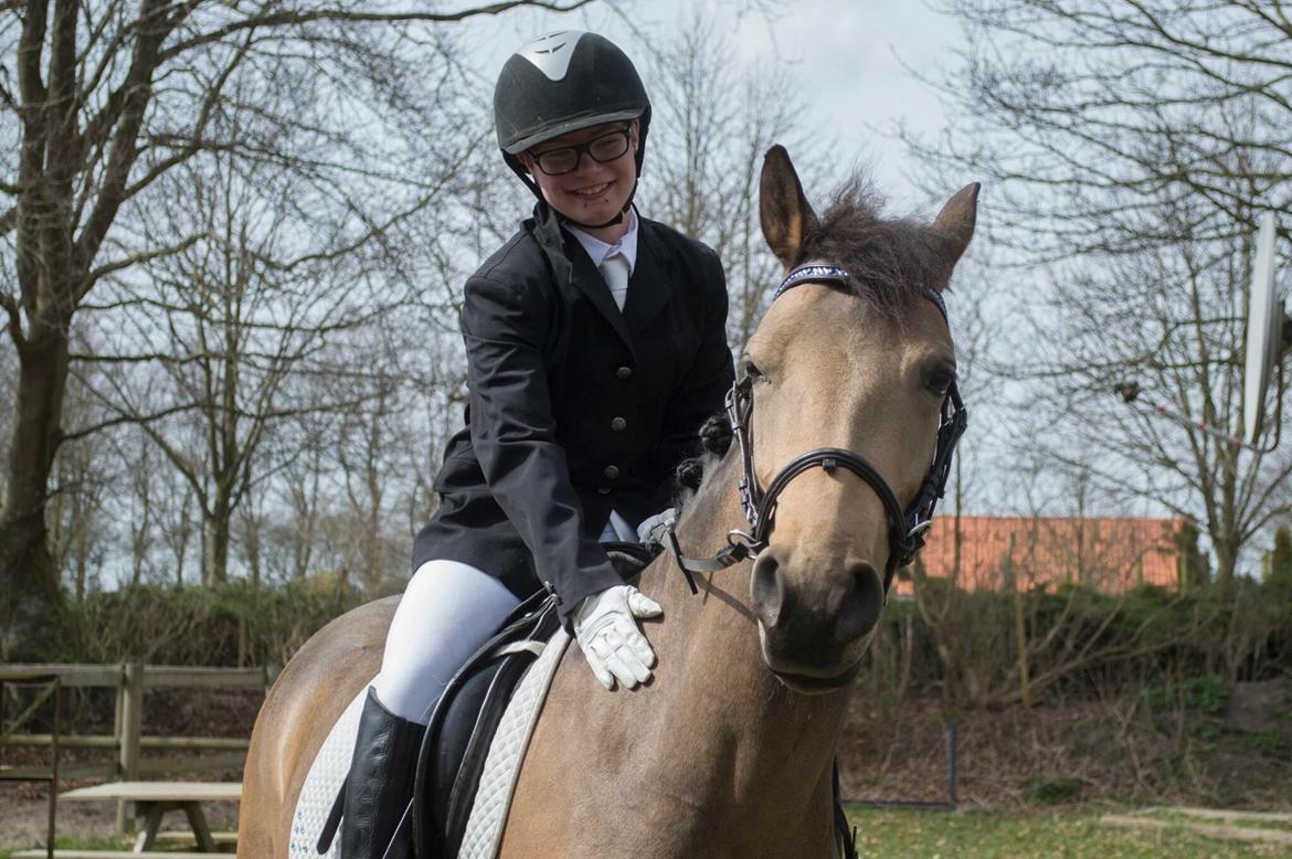 Anden særlig race Diva billede 9