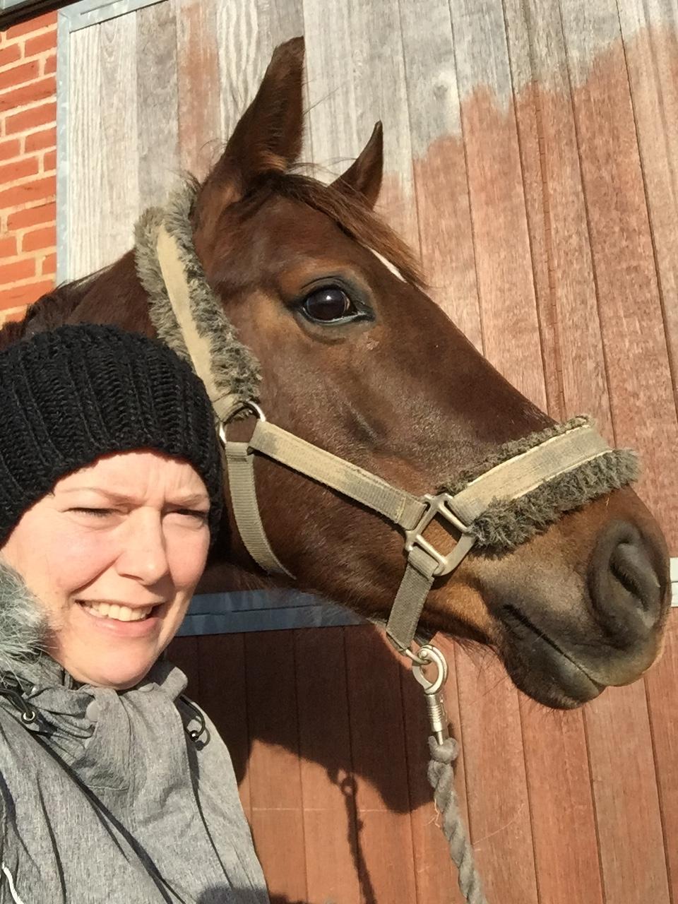 Dansk Varmblod Skovbo`s Romina billede 31