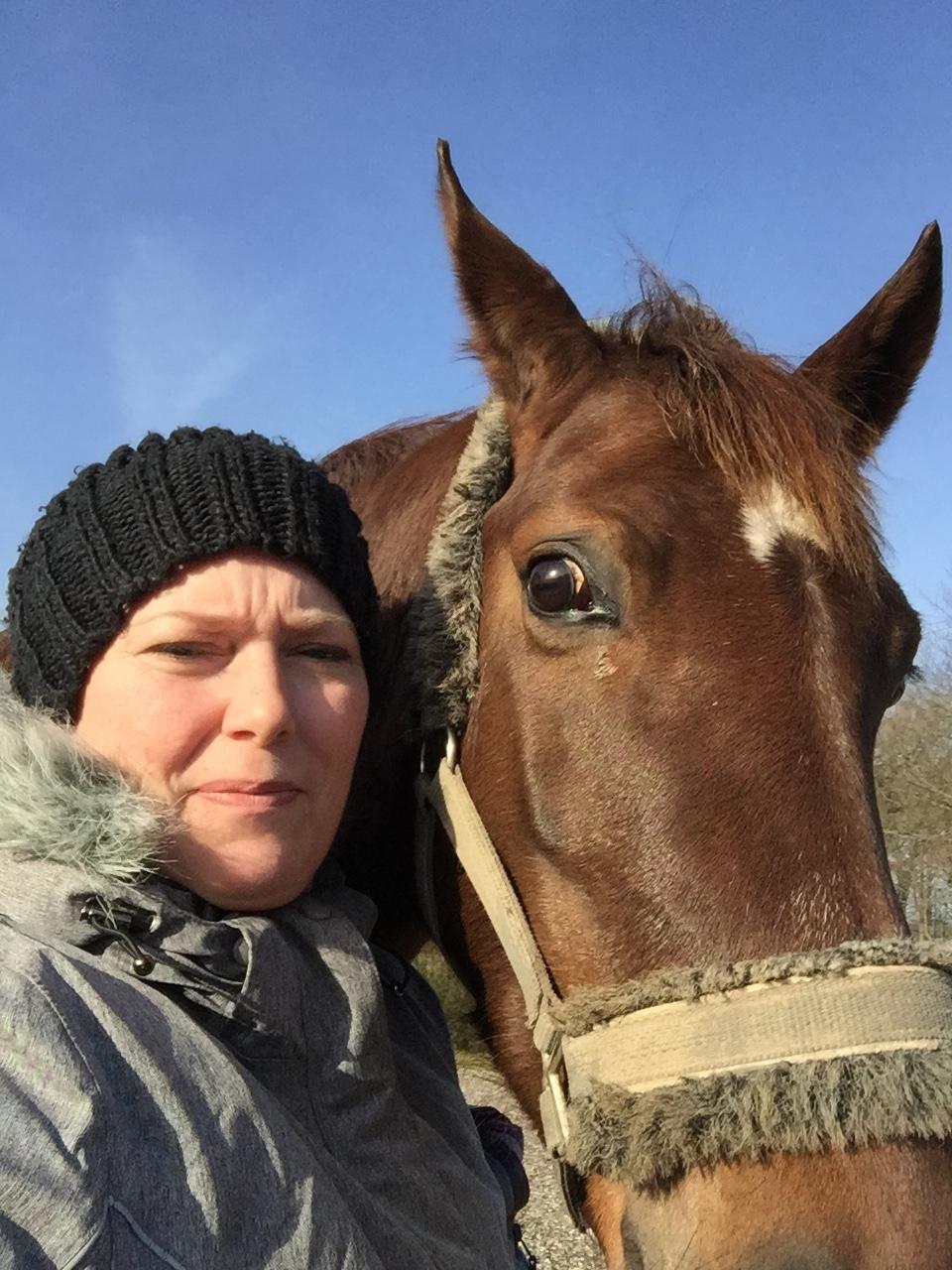 Dansk Varmblod Skovbo`s Romina billede 32