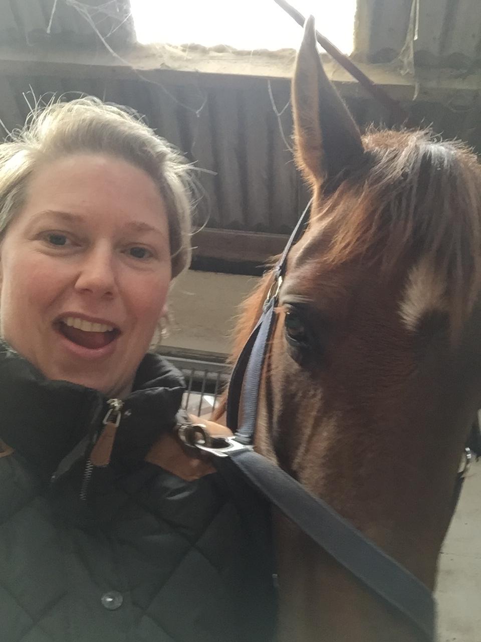 Dansk Varmblod Skovbo`s Romina billede 36