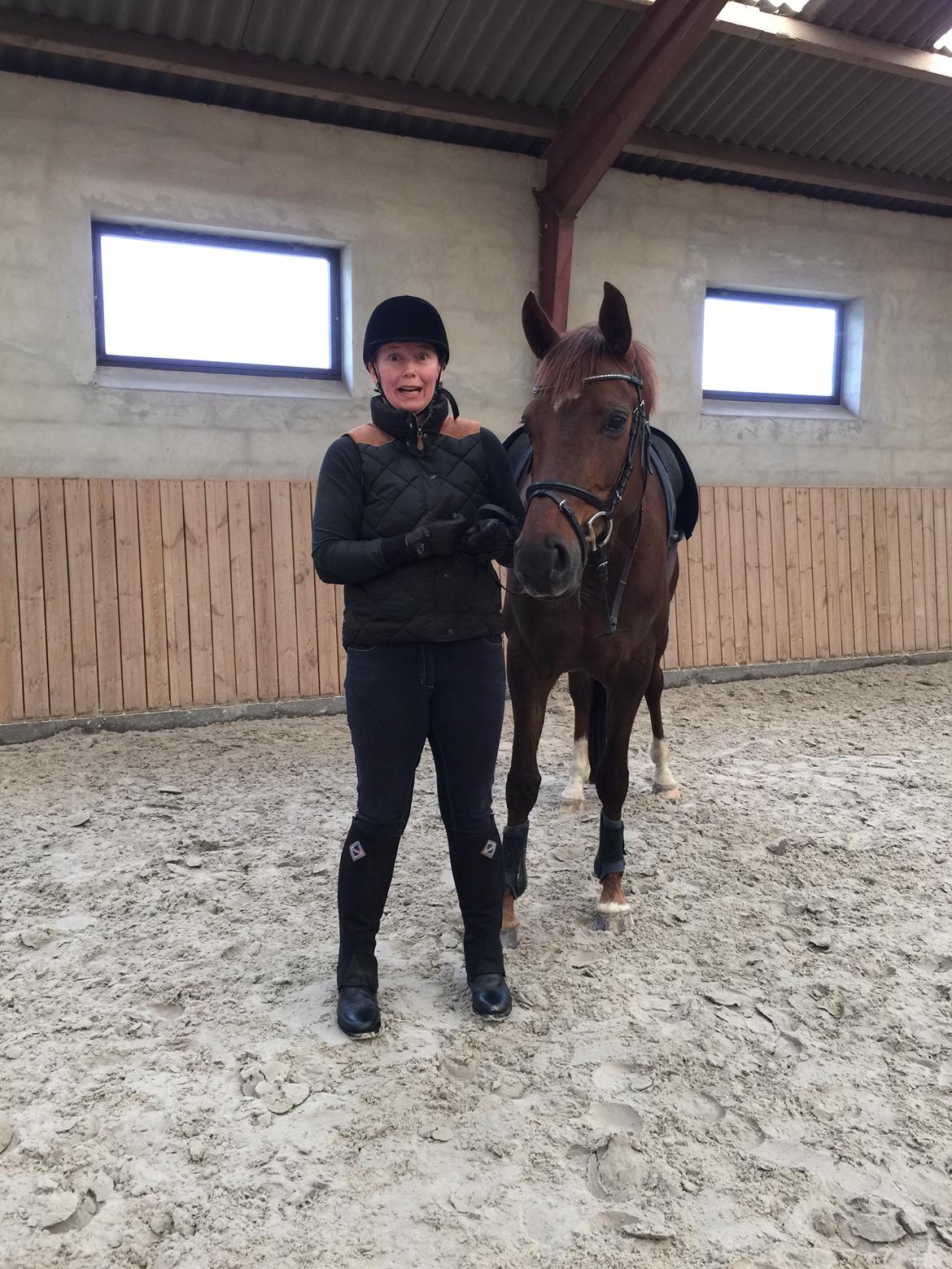 Dansk Varmblod Skovbo`s Romina billede 45