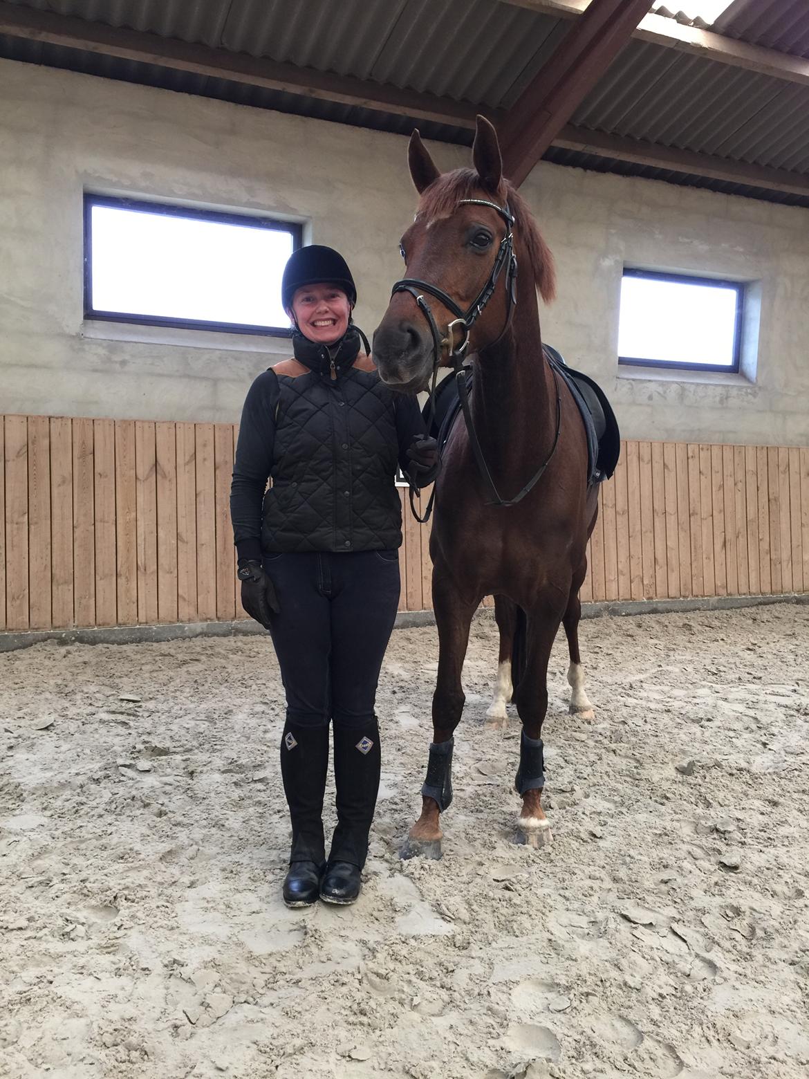 Dansk Varmblod Skovbo`s Romina billede 46