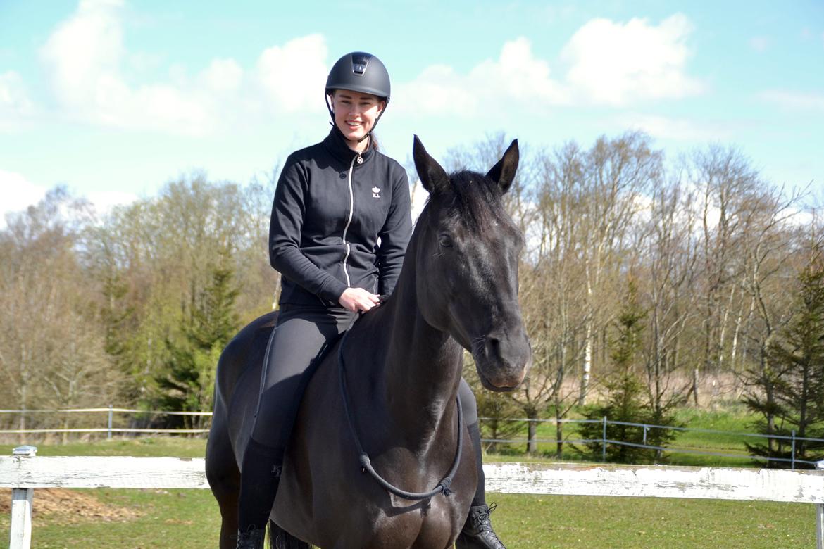 Trakehner EGATTA - Elsker den hest! Fotograf: Mor billede 6