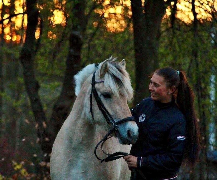 Fjordhest Hjorthøj's Tro billede 17