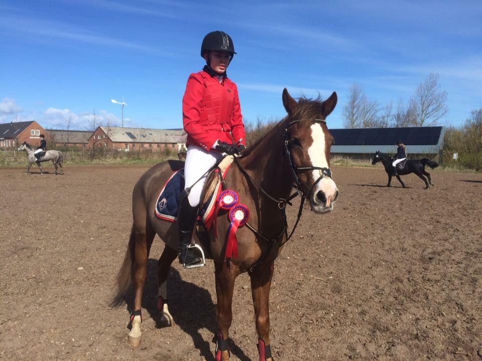 Anden særlig race Hanna Montana billede 25