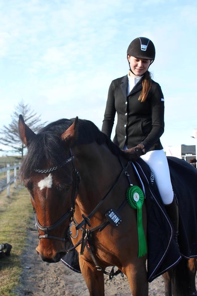 Dansk Varmblod Carneval De Pa- Ris Korsvænget billede 3