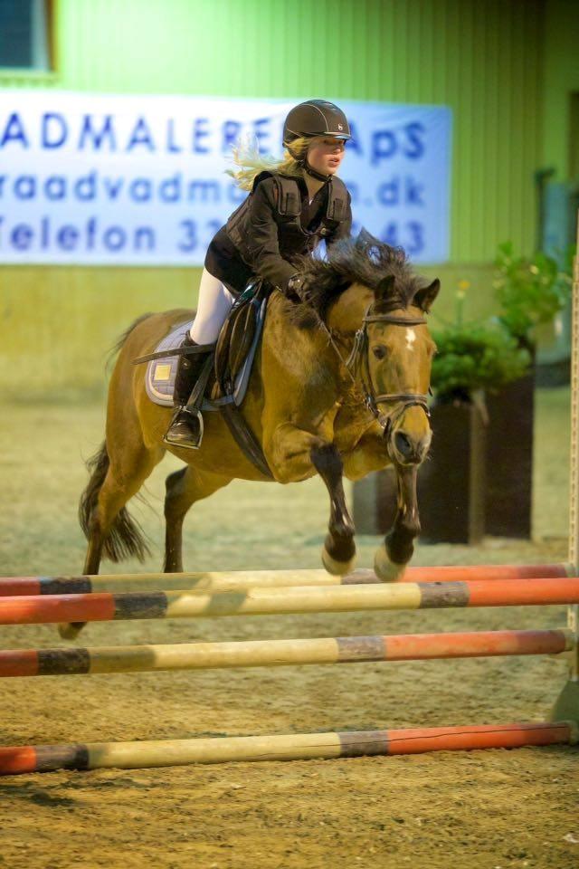 Anden særlig race Brinkhof's Phantom - Vores første stævne sammen. Vi vandt den klasse (60 cm) billede 1
