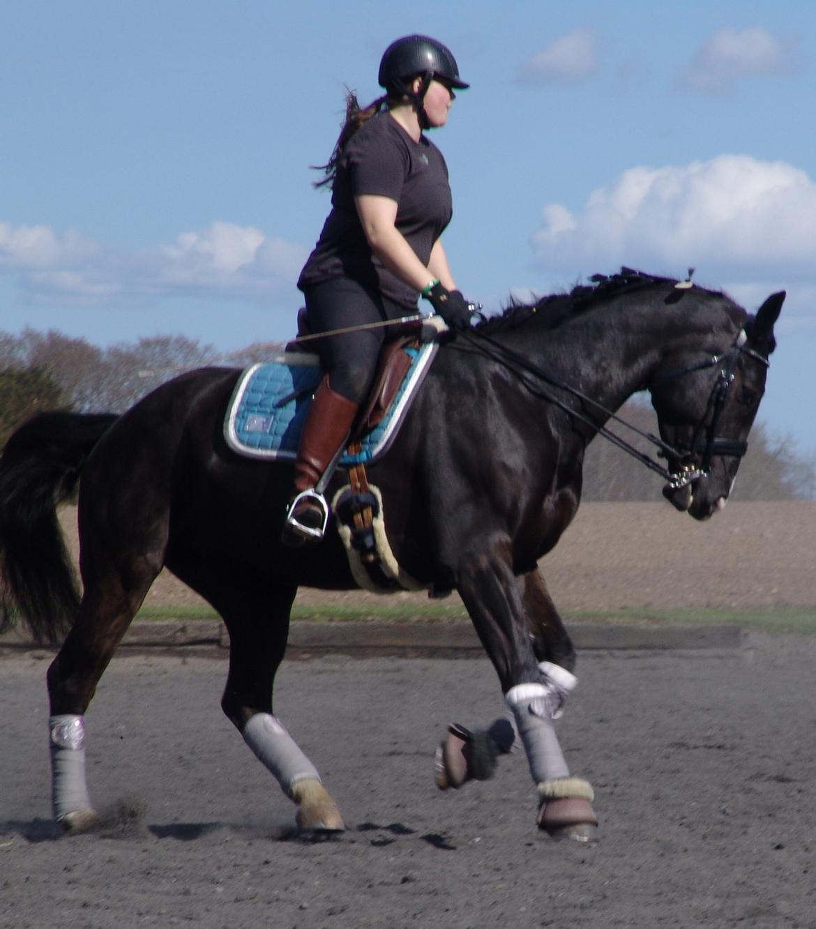 Oldenborg Nyhedegaards latifa billede 3