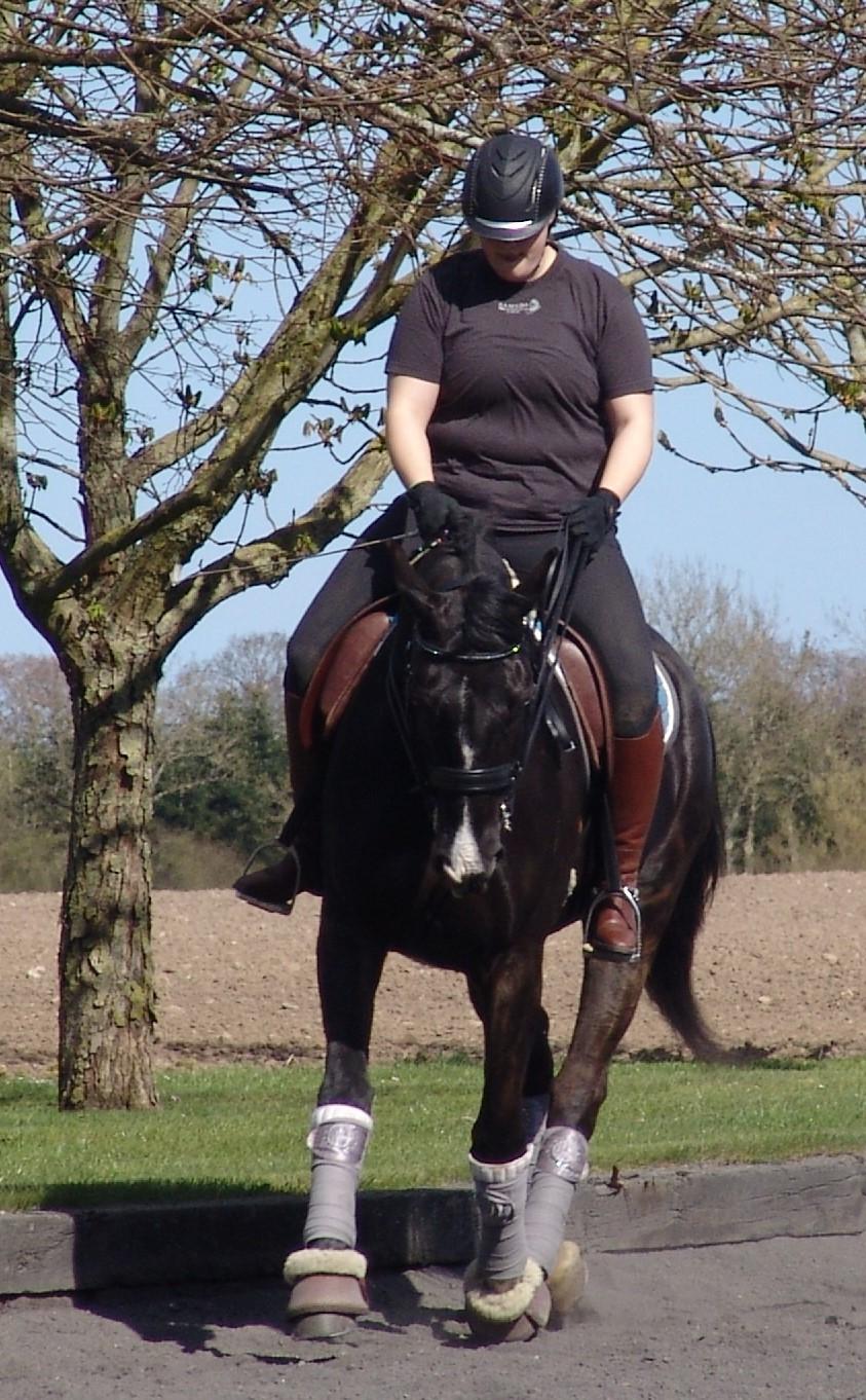 Oldenborg Nyhedegaards latifa billede 8