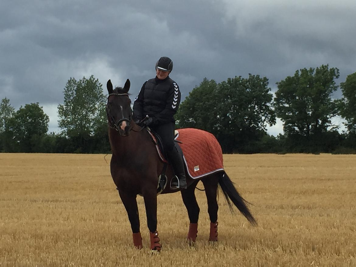 Oldenborg Nyhedegaards latifa billede 10