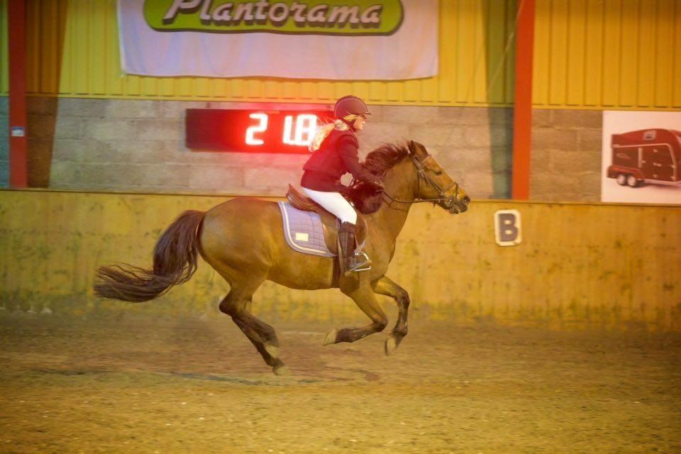 Anden særlig race Brinkhof's Phantom - Slutspurt inden sidste spring billede 6