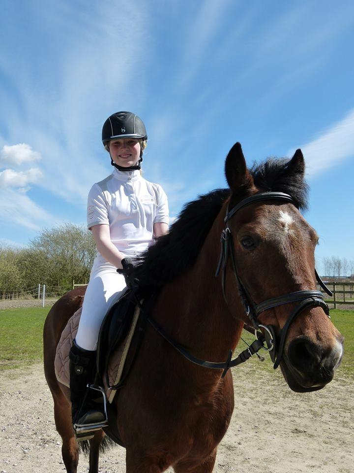 Anden særlig race Brinkhof's Phantom - Efter en dejlig runde på 60 cm billede 9