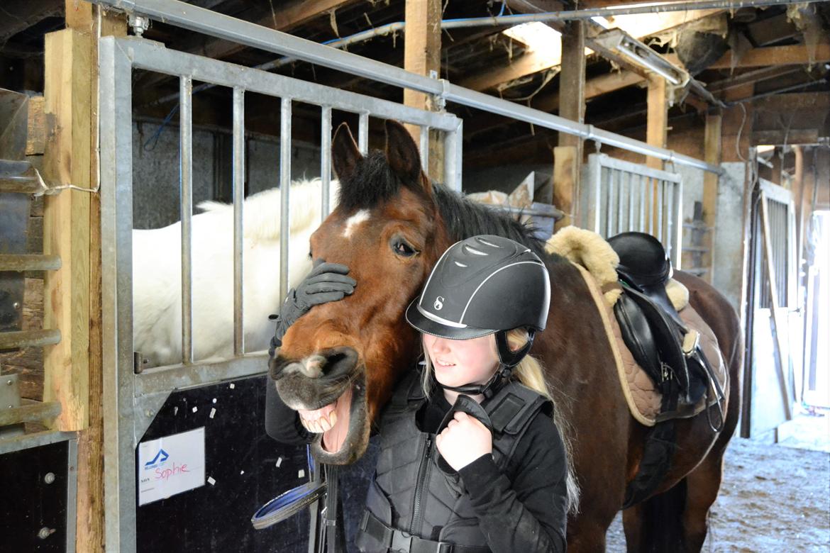 Anden særlig race Brinkhof's Phantom billede 11