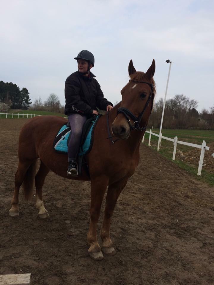 Frederiksborg Felix landlyst "aflivet" billede 18