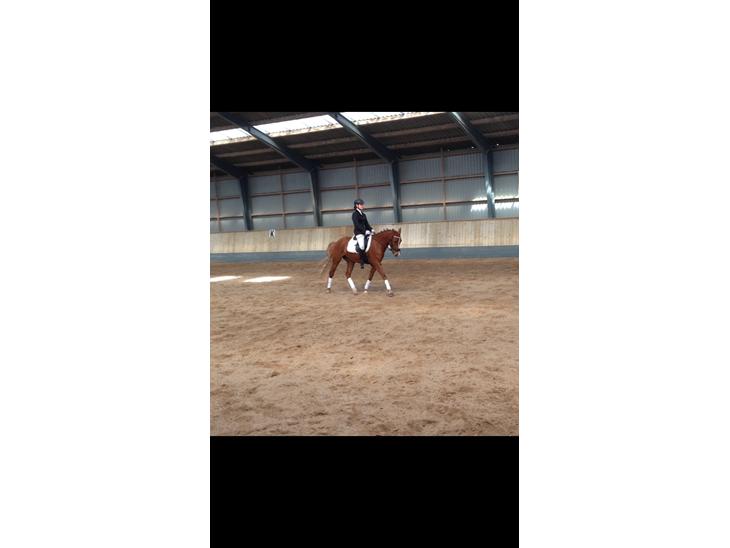 {{currentPhoto.altText}} billede {{currentPhoto.number}}