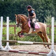 Anden særlig race Mathilde