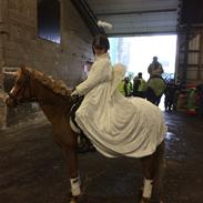 Anden særlig race Mathilde