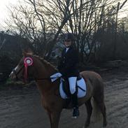 Anden særlig race Mathilde