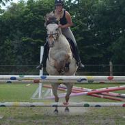 Anden særlig race Kaiser [Min buddie]