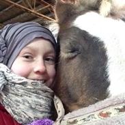 Islænder Blandet race: Dunse Medina