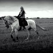 Anden særlig race Mozart