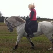 Anden særlig race Mozart