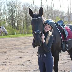 Oldenborg Horsebjergs galanto