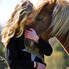 Shetlænder Følfods Nirvana