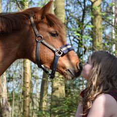 Anden særlig race Lotte [Lånt ud]
