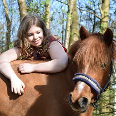 Anden særlig race Lotte [Lånt ud]