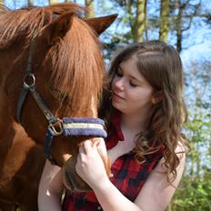 Anden særlig race Lotte [Lånt ud]